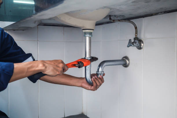 Best Local Plumber Services  in Lake Caroline, VA