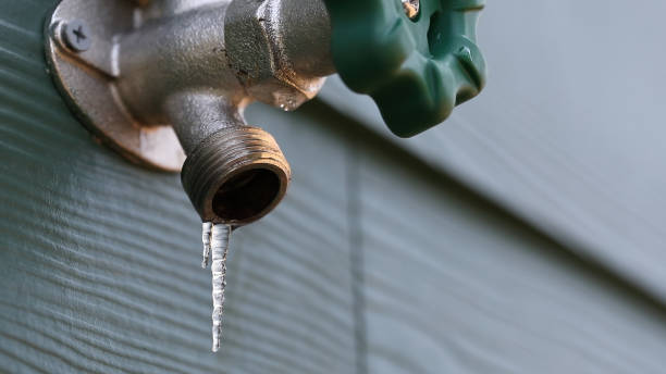 Best Residential Plumbing Services  in Lake Caroline, VA